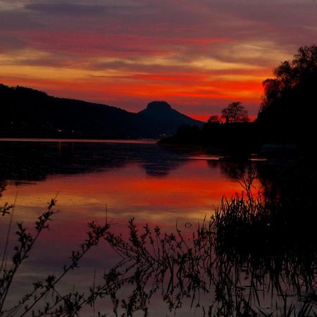 Pension Fuhrmann'S Elb- Cafe Bad Schandau Zewnętrze zdjęcie