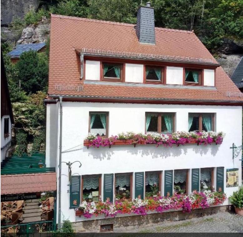 Pension Fuhrmann'S Elb- Cafe Bad Schandau Zewnętrze zdjęcie